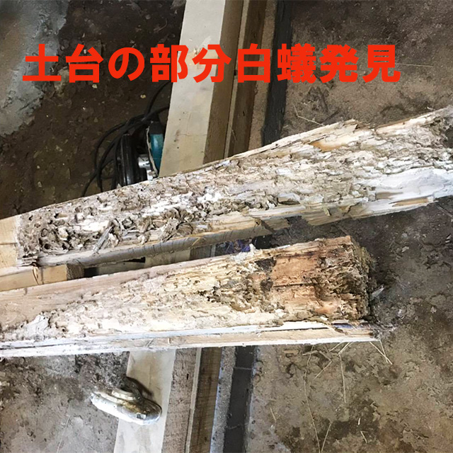 害虫駆除