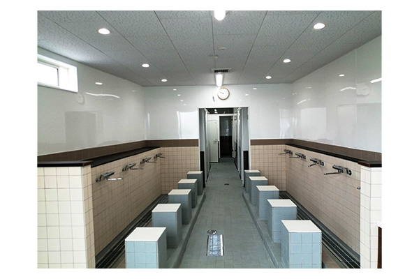 Es-Creative Gallary