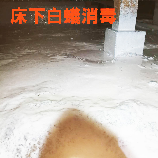 床下白蟻消毒工事