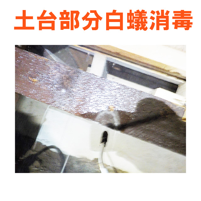 床下白蟻消毒工事